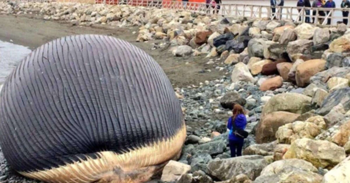 İnanamayacağın 30 Gerçek!