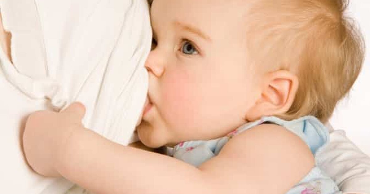 Anne Sütünü Azaltan ve Arttıran Besinler Nelerdir?