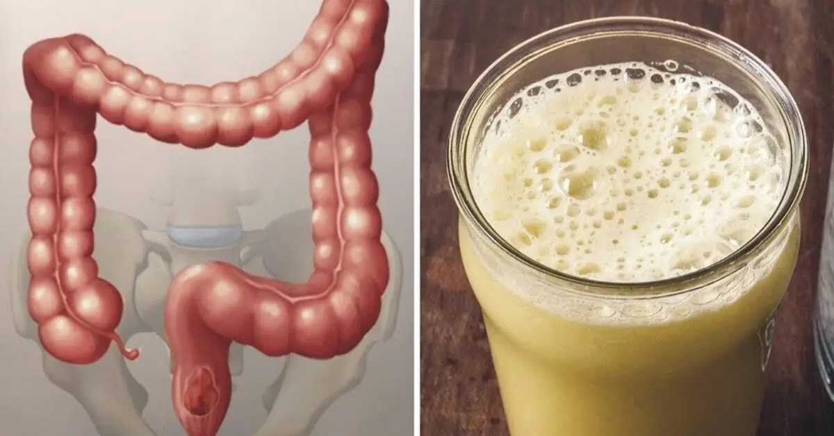 Bağırsakları Temizleyen Doğal Kür Tarifi