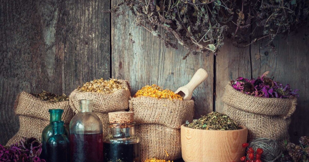 Bitkisel Tedavi Yöntemleri Neler?