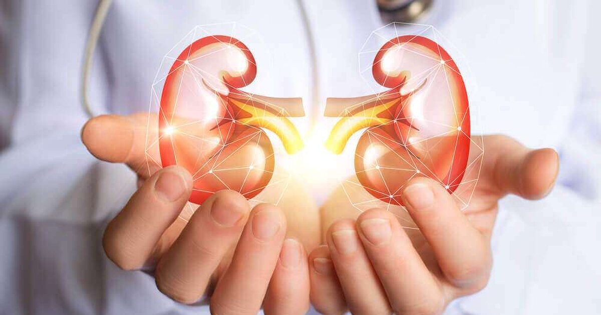 Böbrekte Üre ve Kreatinin Yüksekliği Tedavisi İçin Bitkisel Kür