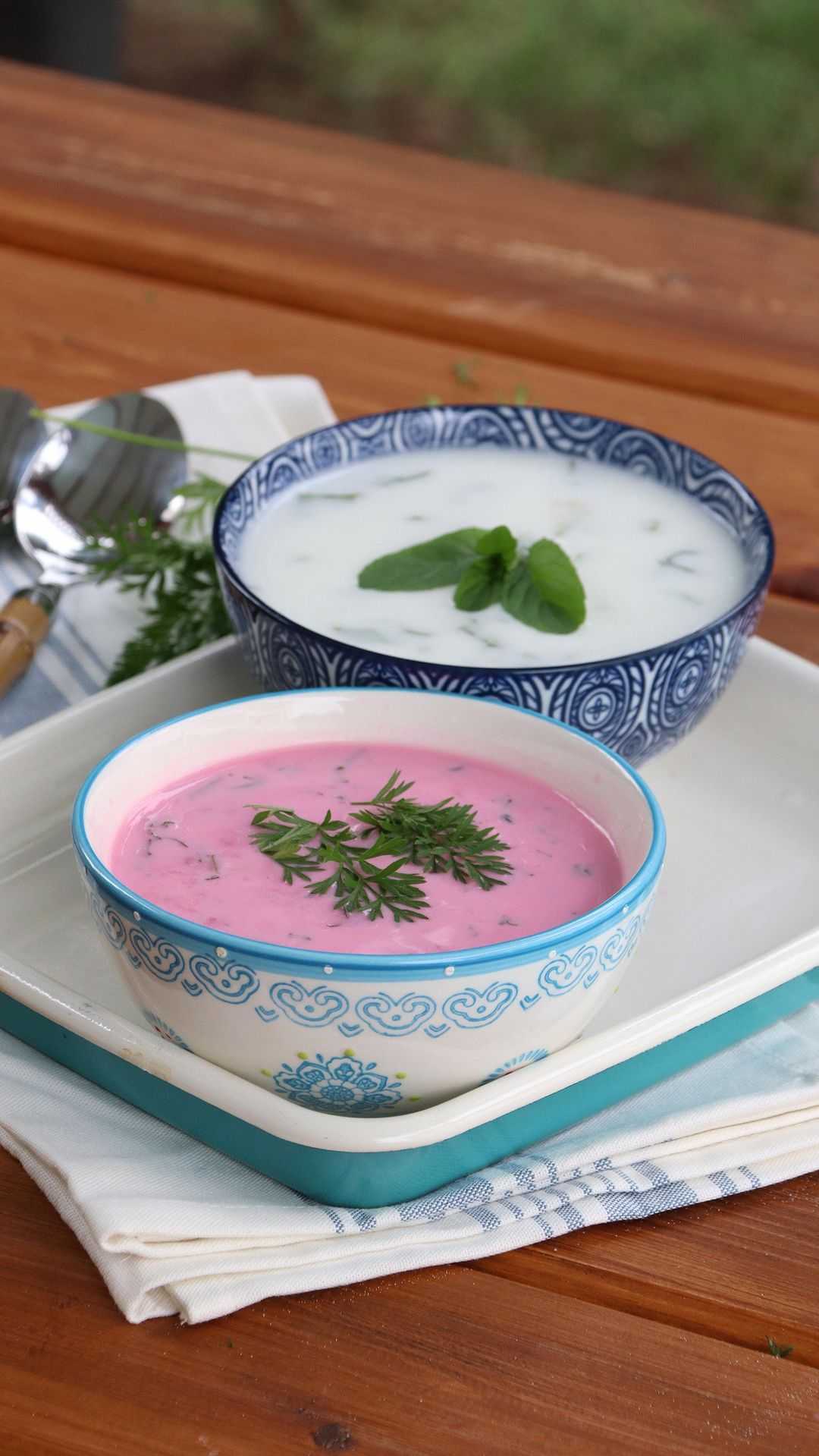 Yazlık Soğuk Çorba Tarifi