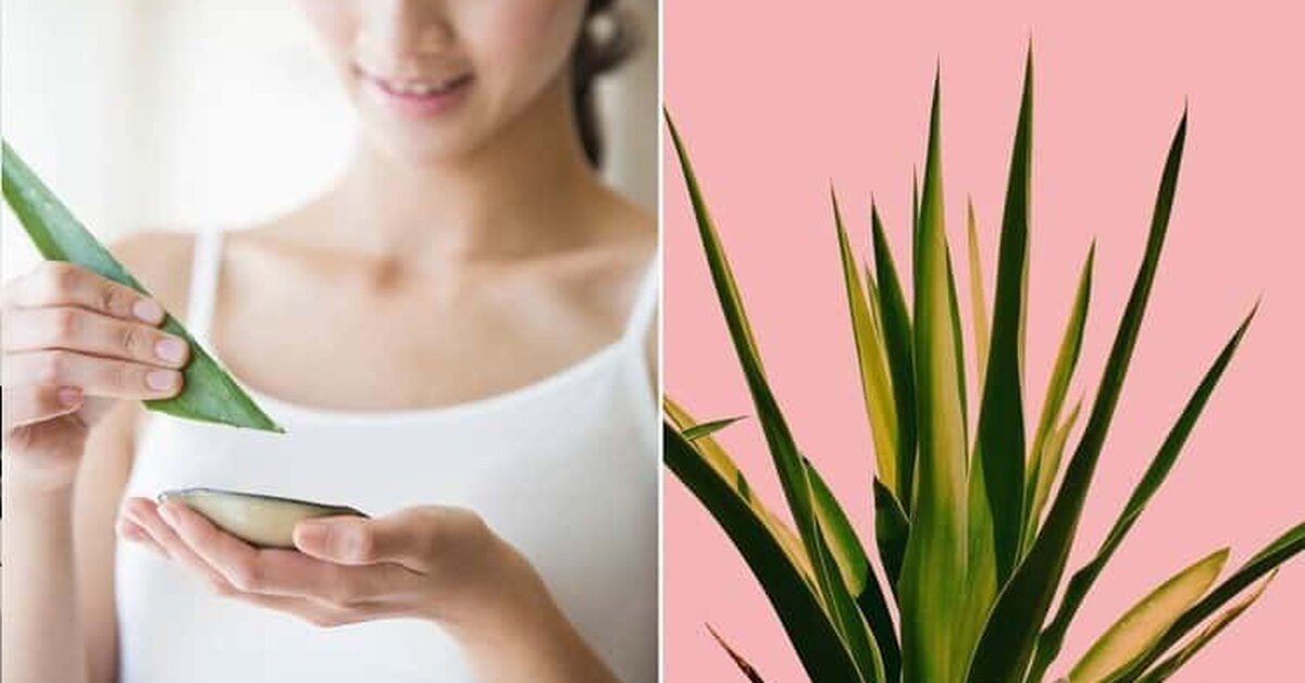 Cildinize İyi Gelecek Kür Tarifleri