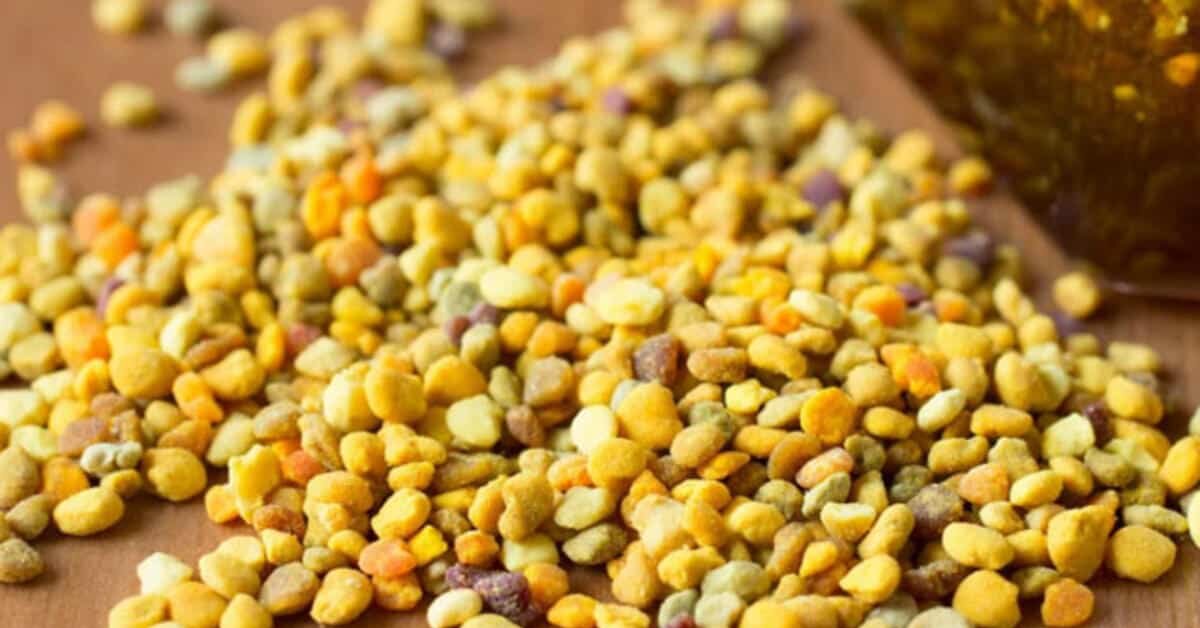 Cinsel Gücü Artırıyor! Kansızlık ve İshale İyi Gelir!