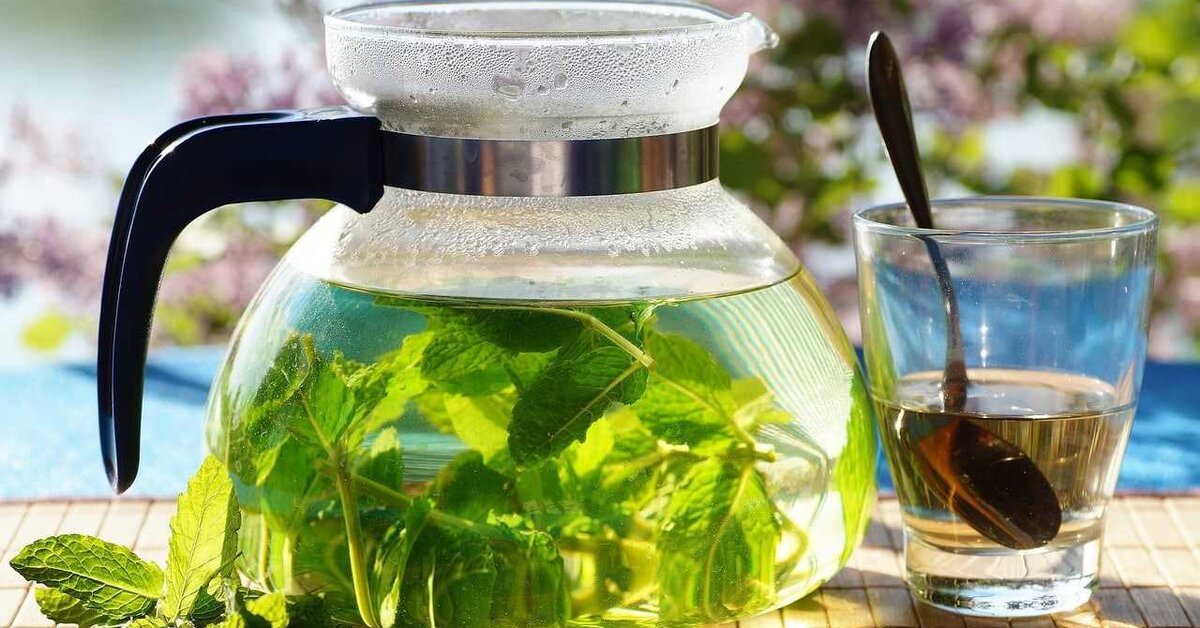 Diyet Çayları Neler, Diyet Çay Tarifleri. Nasıl Kullanılır?