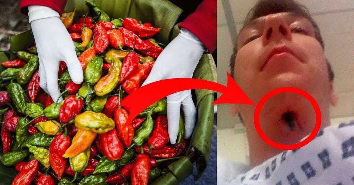 Dünyanın En Tehlikeli ve En Acı 10 Biberi