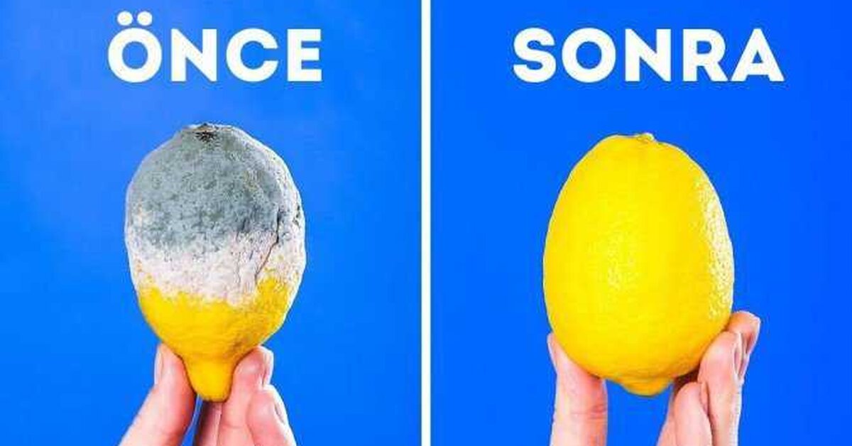 Gıdaların Uzun Süre Taze Kalmasını Sağlayan 20 Pratik Bilgi