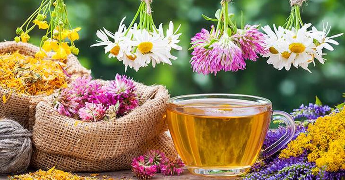 Hangi Bitki Çayı Hangi Hastalığa İyi Gelir?