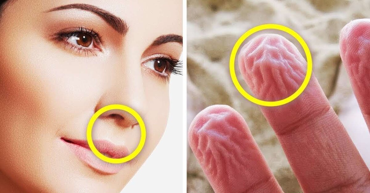 Hayatta Kalmanıza Yardımcı Olabilecek Pratik Bilgiler