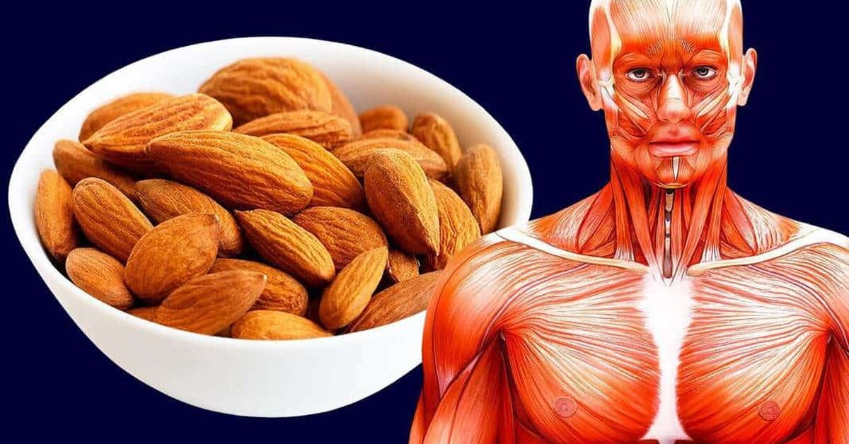 Her Gün Badem Yemenin Muhteşem Faydaları?