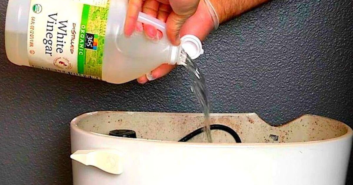 Klozete Sirke Döktü! Sifonu Çekince Bakın Neler Oldu?