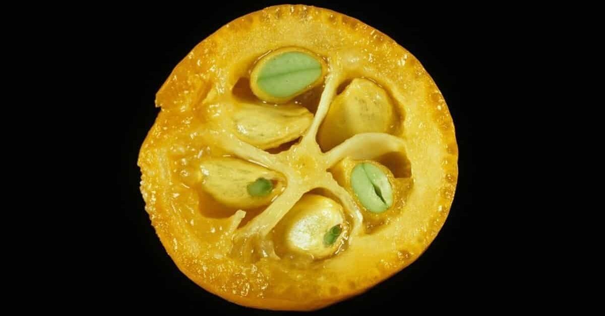 Kandaki şeker oranını dengeleyen meyve!