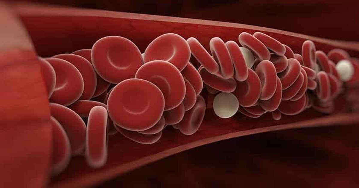 Kanı Temizleyen Şifalı Bitkiler