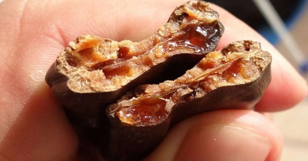 Kanı Temizliyor Damar Tıkanıklığını Açıyor!