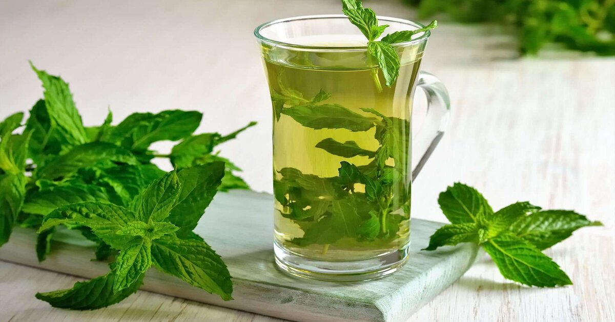 Karaciğeri Tertemiz Karnı Dümdüz Yapan Şişkinlik Giderici Zayıflama Kürü