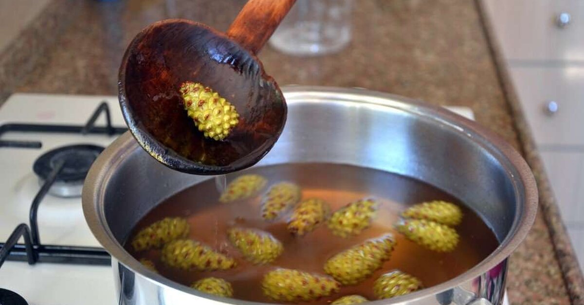 Koah Bronşit ve Öksürük İçin Kozalak Kürü!