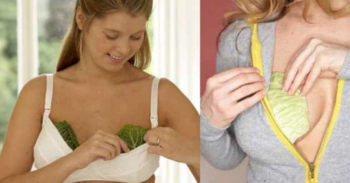 Göğüslerinize Lahana Sararsanız Ne Olur!