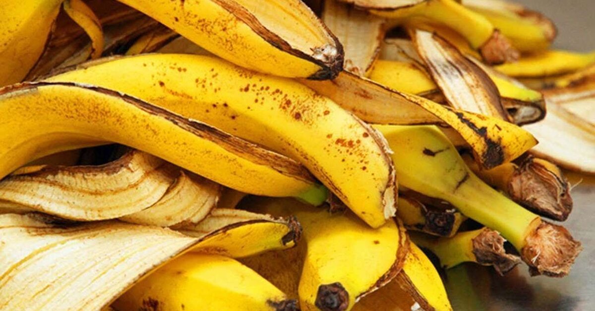 Muz Kabuklarını Sakın Çöpe Atmayın!
