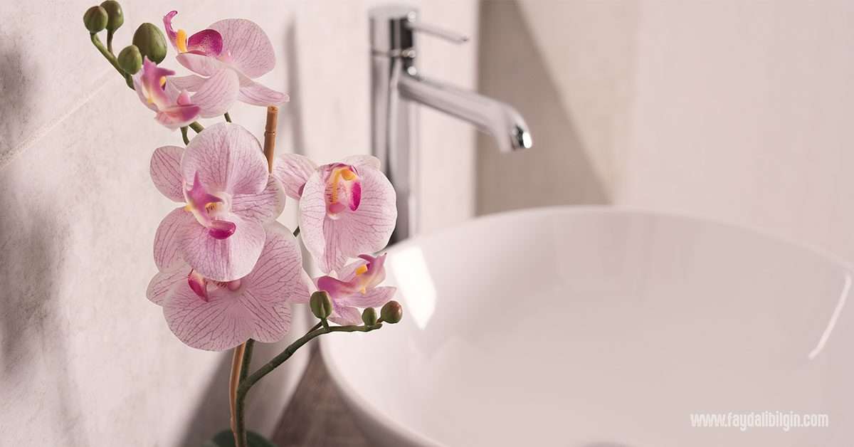 Orkide toprak seçimi nasıl olmalı?