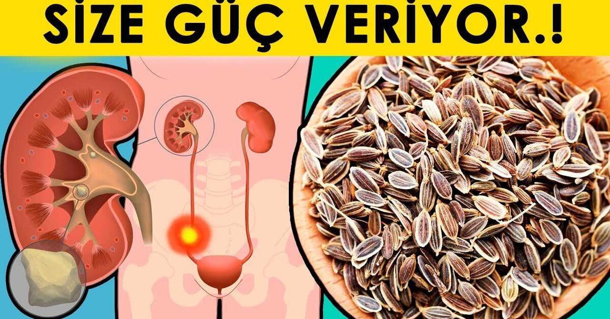 Sadece Bir Kaşık Dereotu Bile Vücudu Yeni Gibi Yapar!