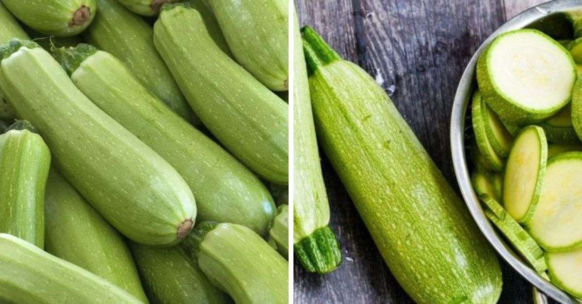 Sakız Kabağının Faydaları Nelerdir