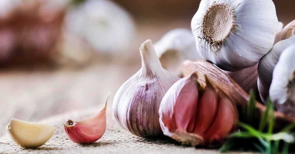 Sarımsağın Sağlığa Faydaları