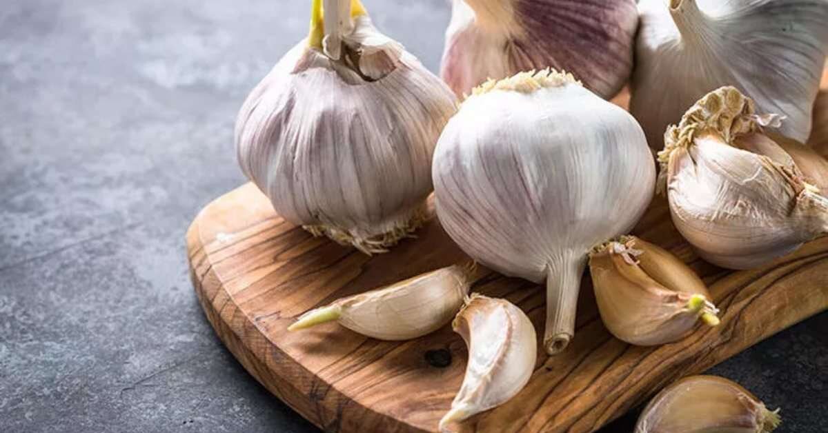 Sarımsak Doğal Antibiyotik mi?