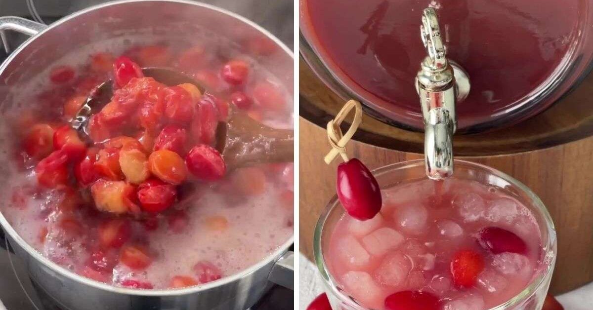 Şekersiz Buz Gibi Kızılcık Şerbeti Tarifi