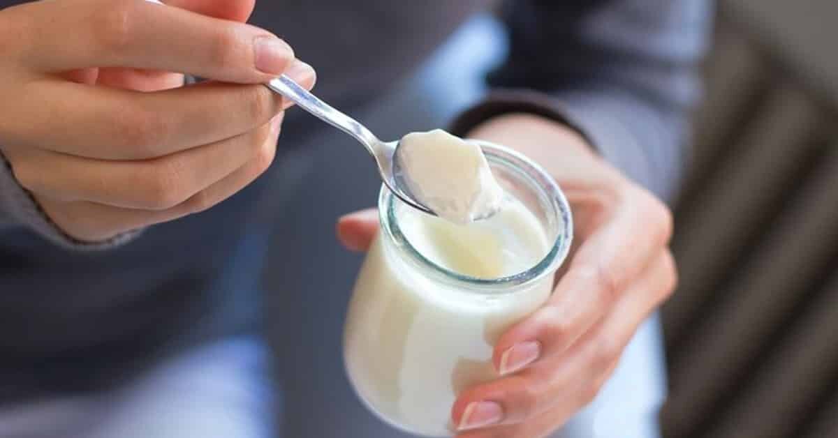 Sindirim Sistemi Hastalıklarına Doğal Yoğurt Tedavisi