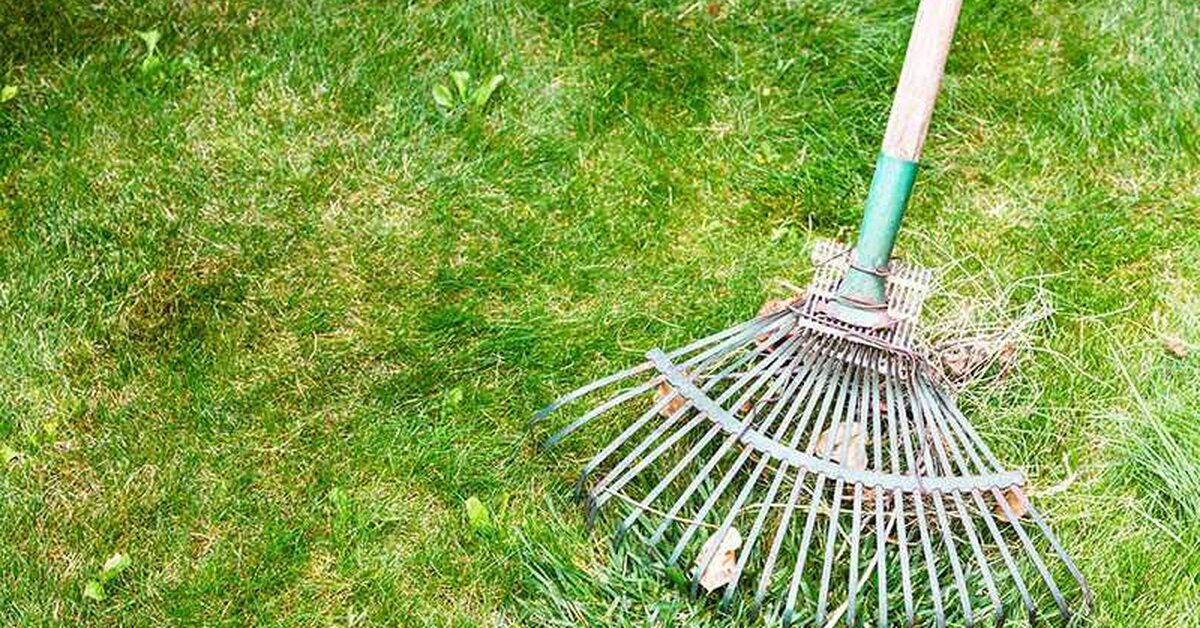 Yabani otlardan kurtulma doğal yöntemleri ve ilaçlar