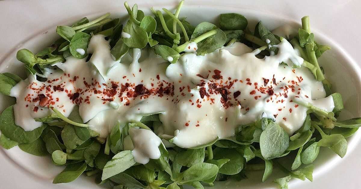 Semizotunun Faydaları ve Yoğurtlu semizotu kürü