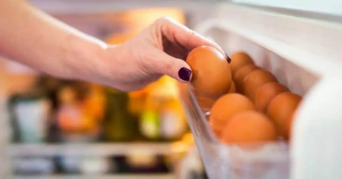 Buzdolabı Kapağına Yumurta Koyanlar Dikkat!