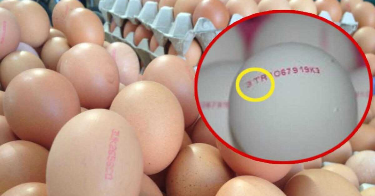 Yumurta Üzerindeki Numaraların Anlamı