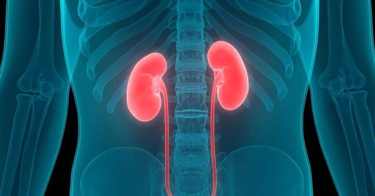 Böbrek Temizliği Önemi?
