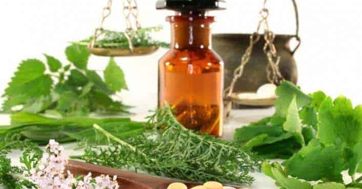 Akciğer Hasarını Onaran, Enfeksiyonlarla Savaşan ve Akciğer Sağlığını Artıran 9 Şifalı Bitki