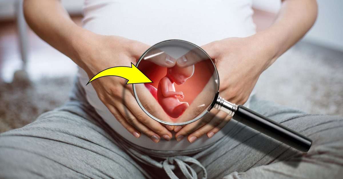 Anne Karnında Bebek Gelişimi İçin Neler Yenmelidir?