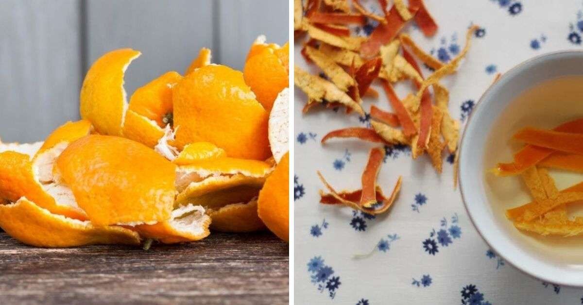 Aşırı Yağ Yaktığını Bilseydiniz Asla Çöpe Atmazdınız