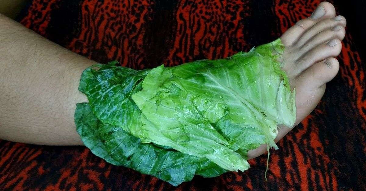 Ayak Şişkinliğine Lahana ve Isırgan Otu Kürü