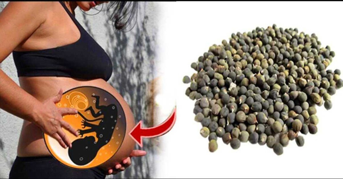 Bamya Tohumunu Birde Böyle Tüketin!