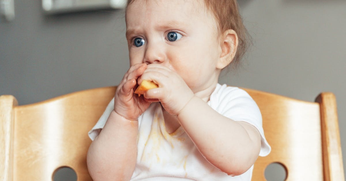 Bebek Ek Gıda Tarifleri — 6 Aylık Bebekler İçin Rehber
