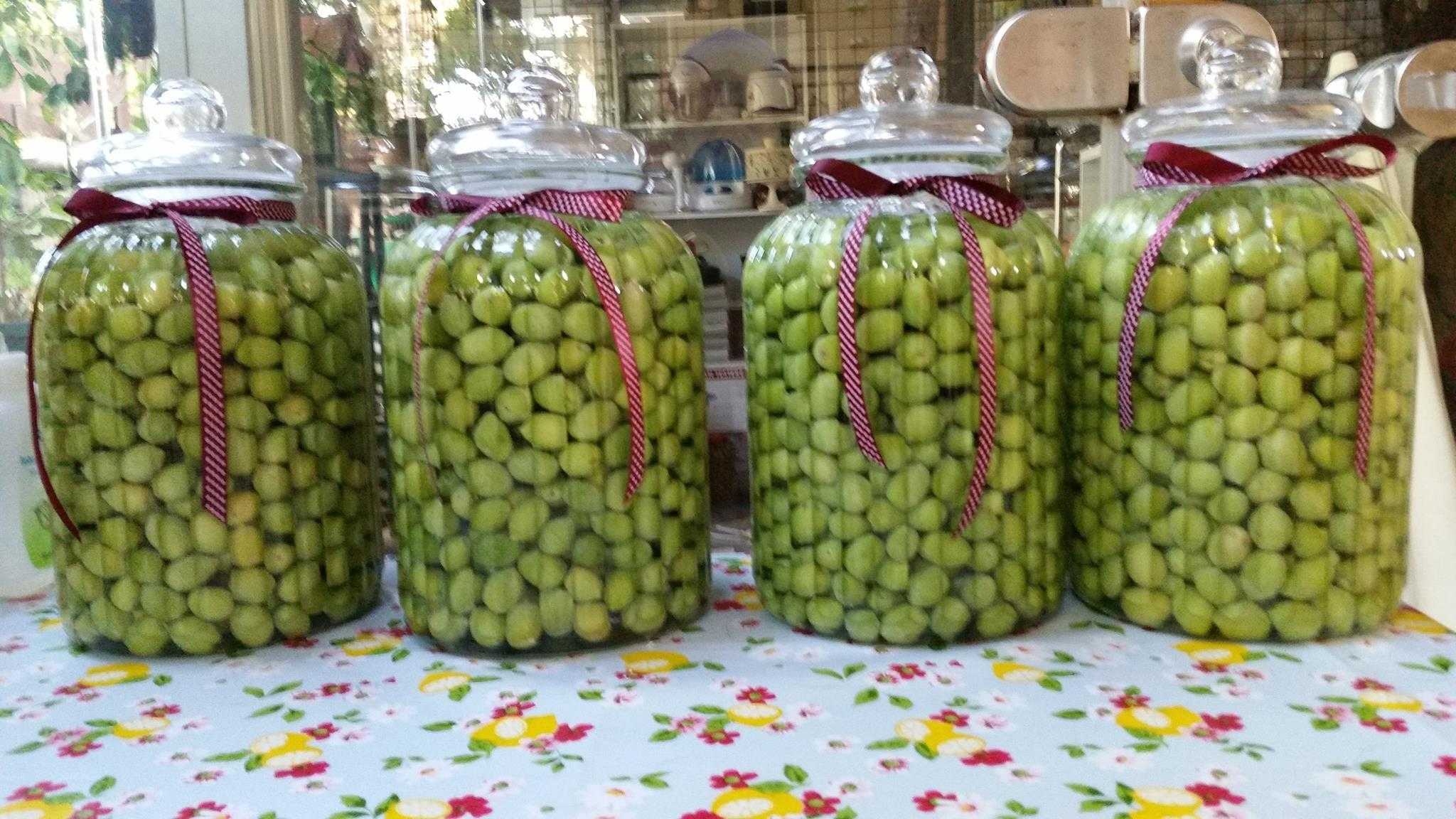 Bir daha yeşil zeytin Almayacaksınız!