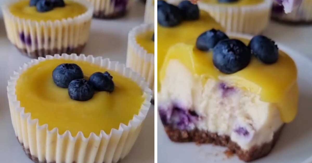 İçi Taze Yaban Mersinli Üzeri Limonlu Cheesecake Tarifi