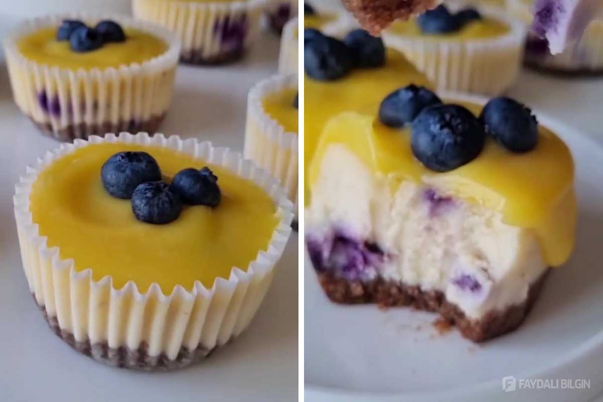 İçi Taze Yaban Mersinli Üzeri Limonlu Cheesecake Tarifi