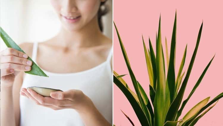 Cildinize İyi Gelecek Kür Tarifleri