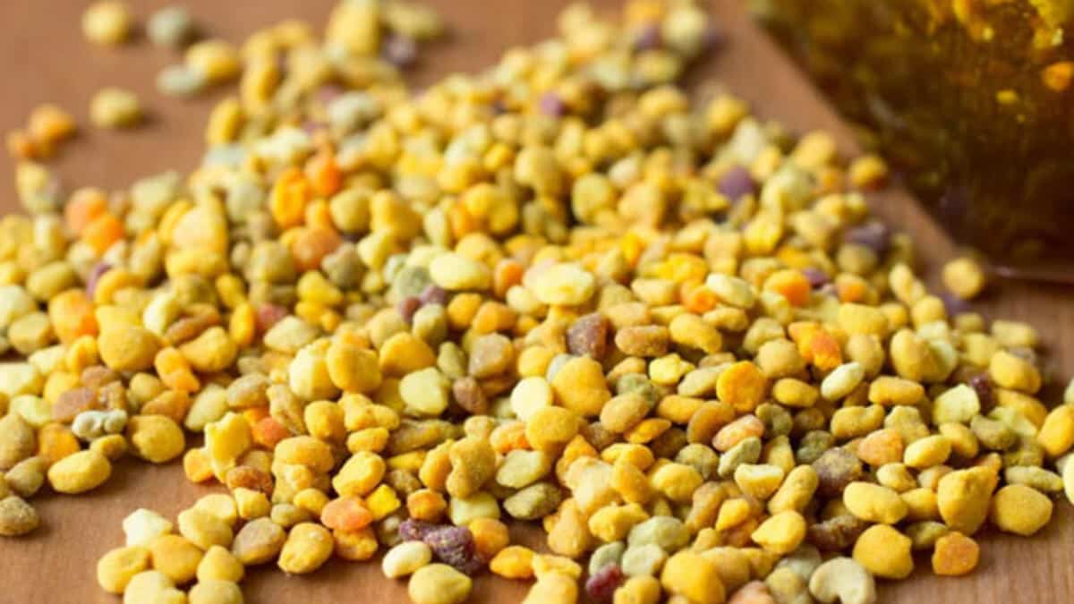 Cinsel Gücü Artırıyor! Kansızlık ve İshale İyi Gelir!