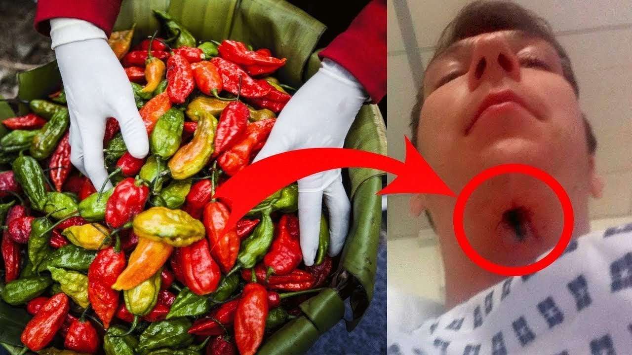 Dünyanın En Tehlikeli ve En Acı 10 Biberi