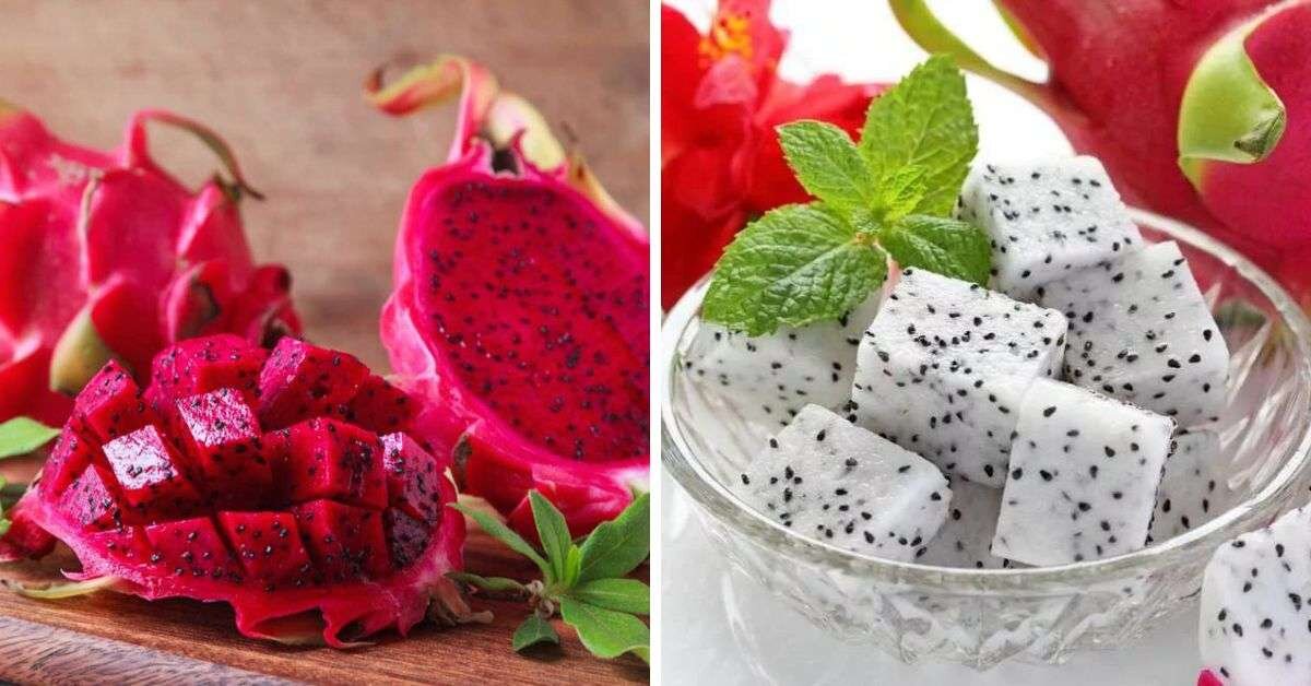 Ejder Meyvesi Nasıl Yenir, Faydaları Nelerdir?