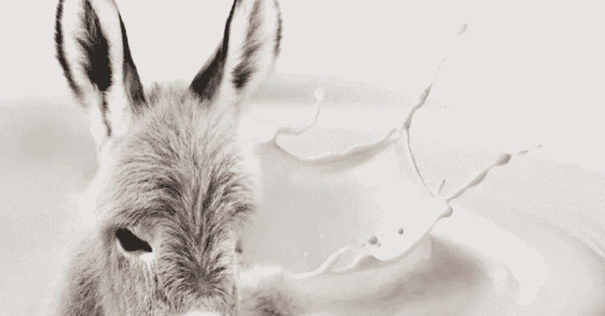 Eşek Sütü İle Cilde Nasıl Bakım Yapılır?