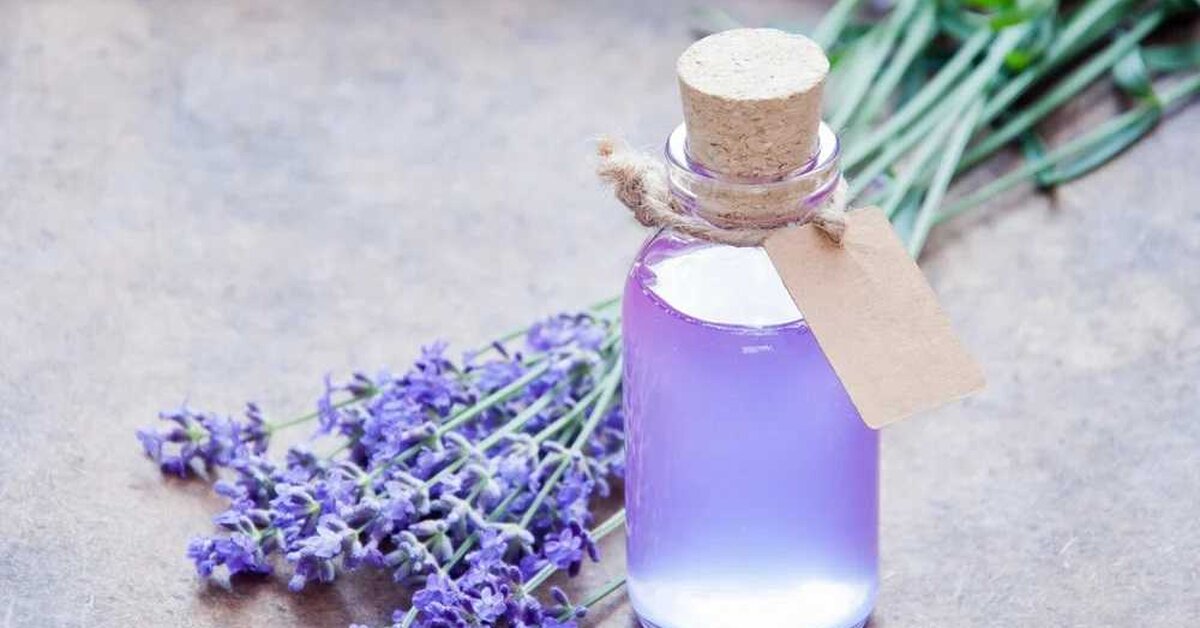 Evde Lavanta Suyu Nasıl Yapılır? Lavanta Suyunun 5 Faydası