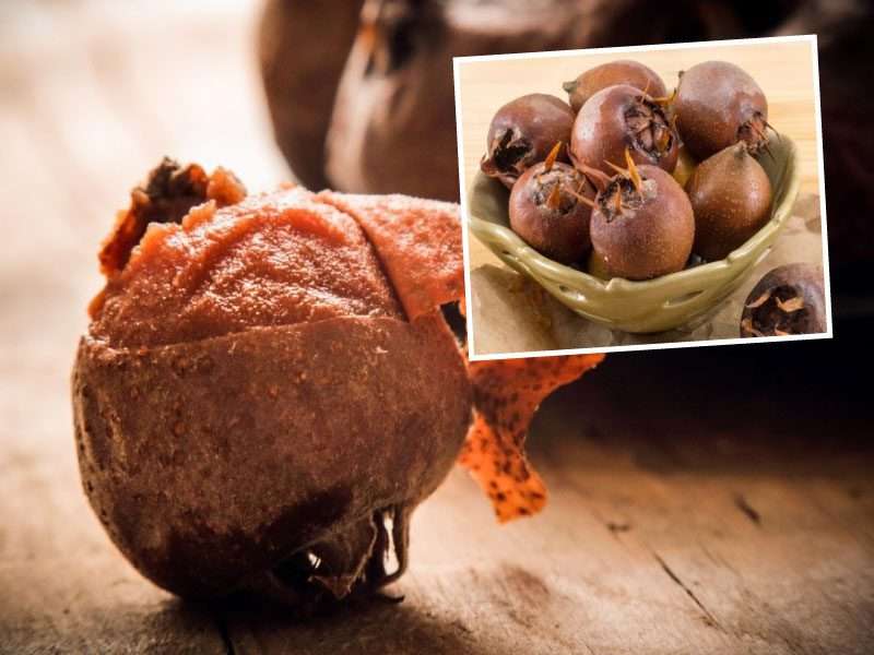 Günde 7 Tane Yerseniz Etkisi İnanılmaz!